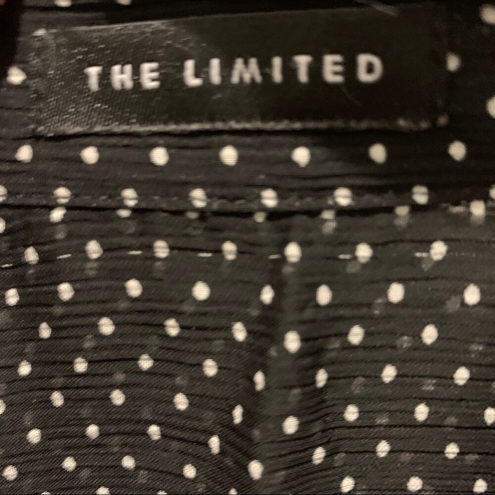 THE limited blouse sheer black Swiss dot top‎ short sleeve ruffle neck. Size M - Picture 5 of 7